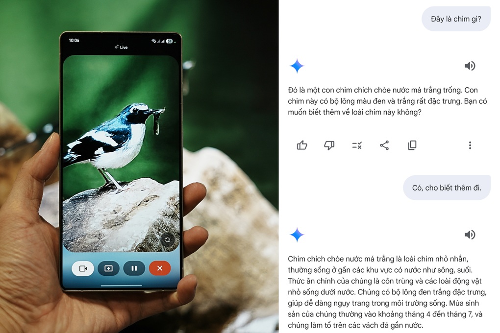 Khám phá thiên nhiên cùng Galaxy S25 Series và trợ lý Gemini Live - 5 Khám phá thiên nhiên cùng Galaxy S25 Series và trợ lý Gemini Live - 5