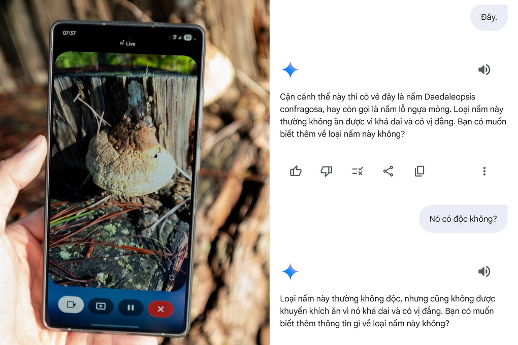 Khám phá thiên nhiên cùng Galaxy S25 Series và trợ lý Gemini Live - 6 Khám phá thiên nhiên cùng Galaxy S25 Series và trợ lý Gemini Live - 6