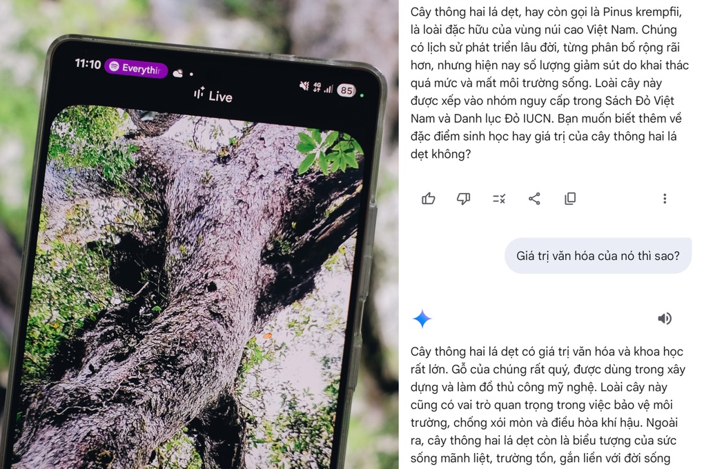 Khám phá thiên nhiên cùng Galaxy S25 Series và trợ lý Gemini Live - 4 Khám phá thiên nhiên cùng Galaxy S25 Series và trợ lý Gemini Live - 4
